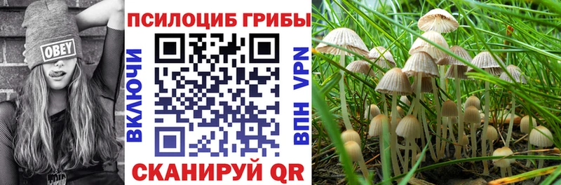 Псилоцибиновые грибы Psilocybe  мега вход  Карачев 
