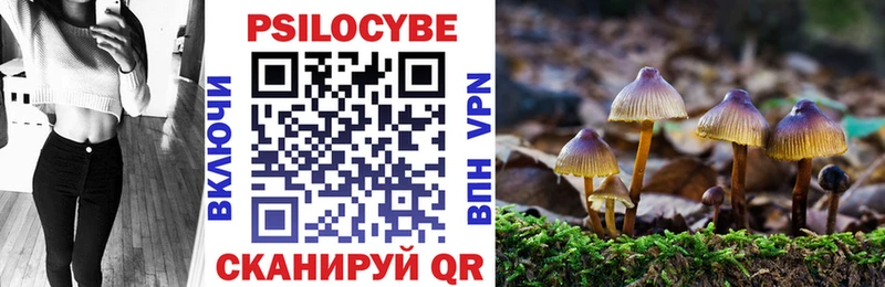 Галлюциногенные грибы Cubensis Карачев